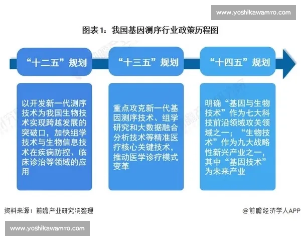 索列夫对阵斯海杜克强强碰撞战术博弈与胜负走向前瞻关键因素解析